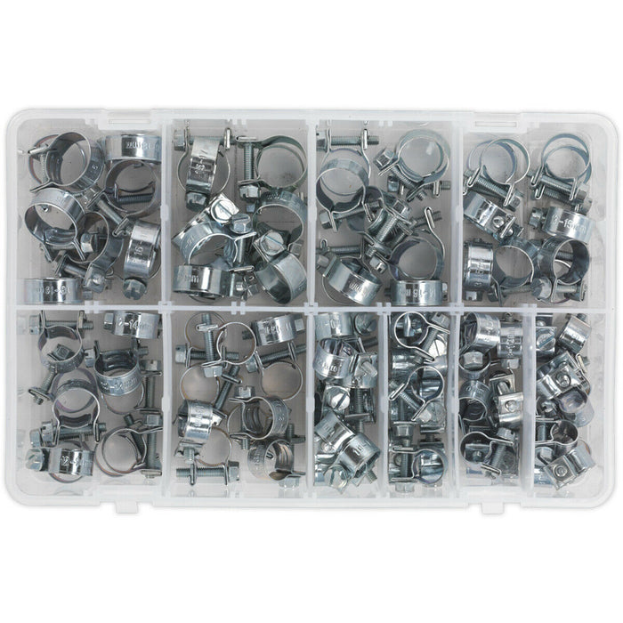 100 Piece Mini Hose Clip Assortment - Zinc Plated Clips - Partitioned Box Loops