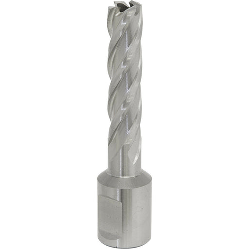 12mm x 50mm Depth Rotabor Cutter - M2 Steel Annular Metal Core Drill 19mm Shank Loops