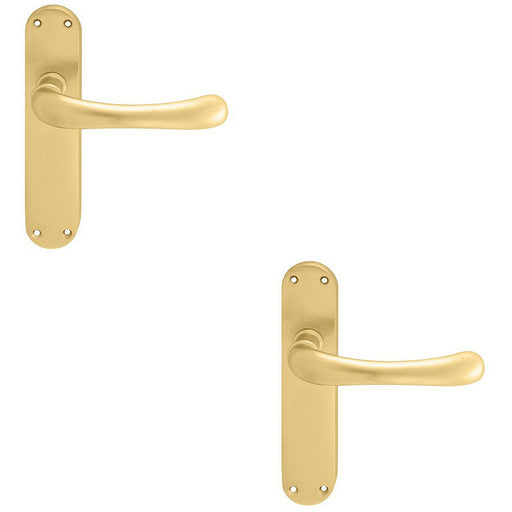 2x PAIR Smooth Rounded Handle on Shaped Latch Backplate 185 x 42mm Satin Brass Loops