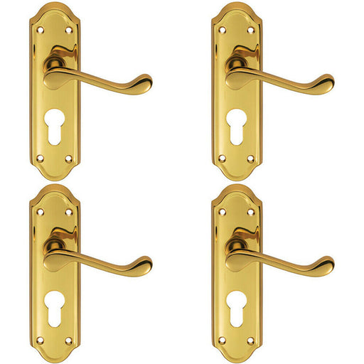 4x PAIR Victorian Upturned Lever on Euro Lock Backplate 168 x 47mm Brass Loops