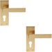 2x PAIR Straight Square Handle on Euro Lock Backplate 150 x 50mm Satin Brass Loops