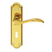 PAIR Curved Door Handle Lever on Lock Backplate 180 x 45mm Polished Brass Loops