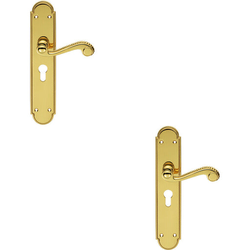 2x PAIR Beaded Pattern Handle on Euro Lock Backplate 249 x 50mm Polished Brass Loops