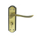 2x PAIR Curved Lever on Sculpted Bathroom Backplate 180 x 48mm Florentine Bronze Loops