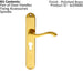 PAIR Curved Lever on Long Slim Euro Lock Backplate 241 x 40mm Polished Brass Loops