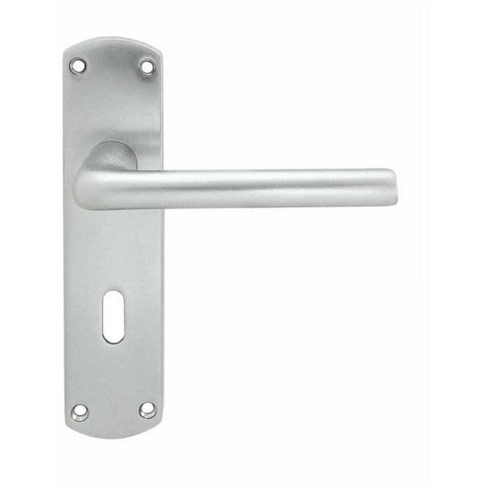 Rounded Straight Bar Handle on Lock Backplate 170 x 42mm Satin Chrome Loops
