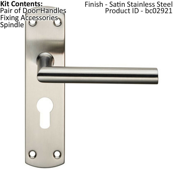 Mitred Lever Door Handle on Euro Lock Backplate 172 x 44mm Satin Steel Loops