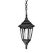 Outdoor IP44 1 Bulb Chain Lantern Black LED E27 100W Light Fitting Loops