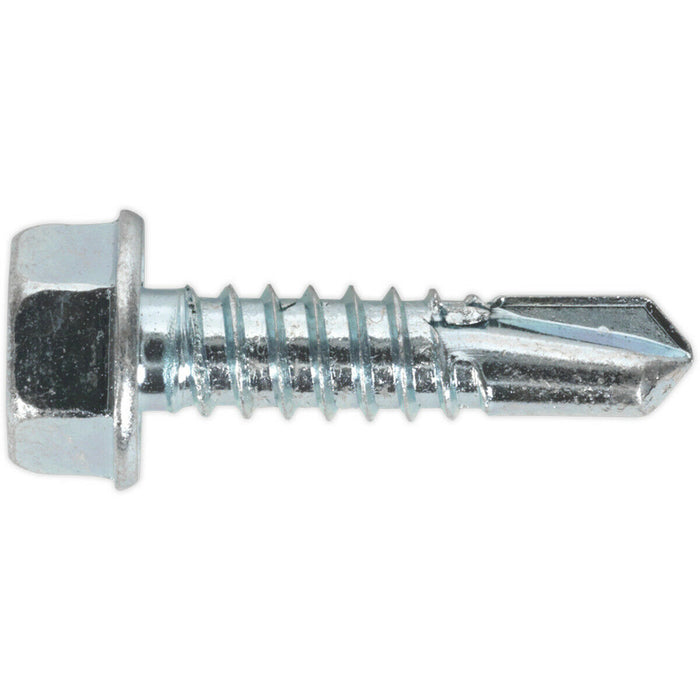 100 PACK 6.3 x 25mm Self Drilling Hex Head Screw - Zinc Plated Fixings Screw Loops