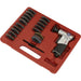 35 PACK 50mm AIR Mini Sander & Discs Kit - 1/4" BSP - Car Bodywork Smart Repair Loops