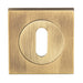 Square Lock Profile Escutcheon 51 x 51mm Concealed Fix Antique Brass Loops