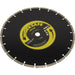 Multipurpose Diamond Blade - 300mm Diameter -20mm Bore - Dry Cutting Disc Loops