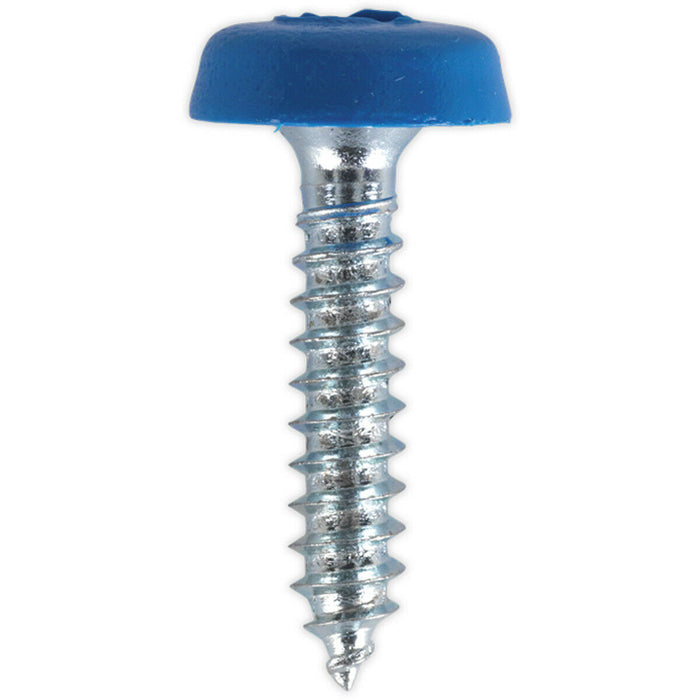 50 PACK 4.8 x 24mm Blue Numberplate Screw - Plastic Enclosed Head Fixings Loops