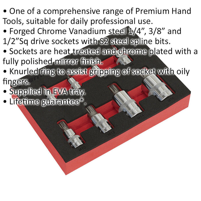 8pc Ribe Star Socket Bit Set - 1/4" 3/8" & 1/2" Square Drive - S2 Steel Shaft Loops