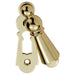 73mm Large Lock Profile Escutcheon 40mm Fixing Centres Polished Brass Loops