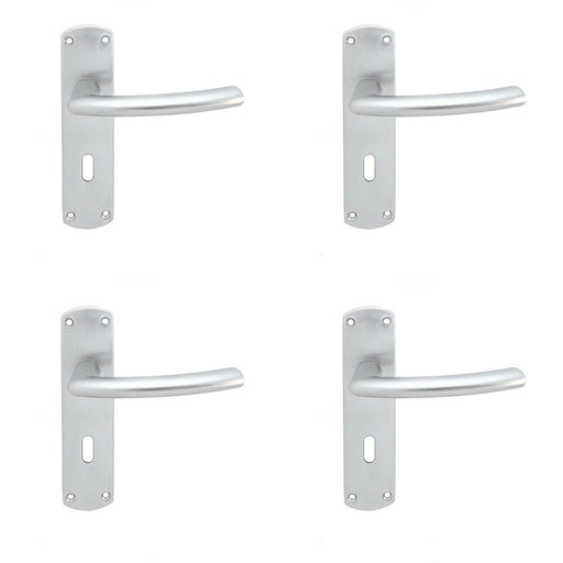4x Curved Bar Handle on Lock Backplate Oval Profile 170 x 42mm Satin Chrome Loops