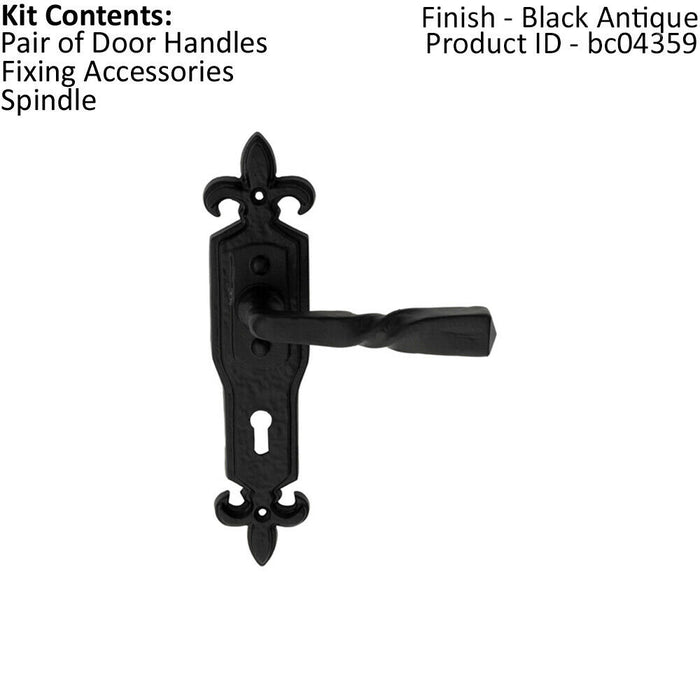 PAIR Forged Twisted Ornate Lever on Lock Backplate 226 x 50mm Black Antique Loops