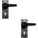 2x PAIR Forged Straight Lever Handle on Lock Backplate 155 x 55mm Black Antique Loops