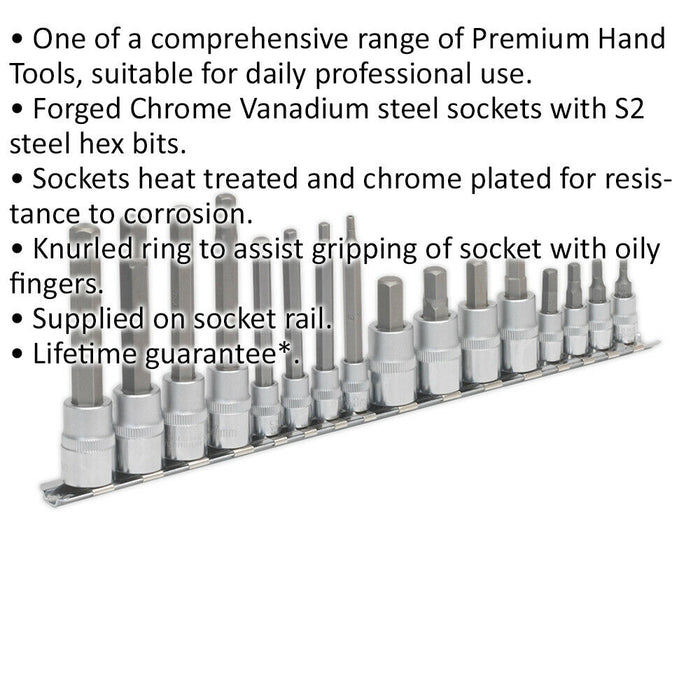 16pc Hex Socket Bit Set - 1/4" 3/8" Square Drive 3mm to 10mm Long & Short Shaft Loops