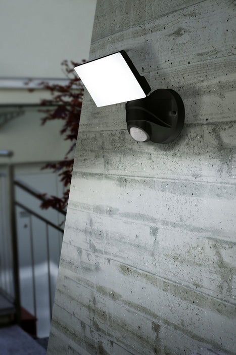 IP44 Outdoor Wall Light & PIR Sensor Black Plastic 13W Built in LED Lamp Loops