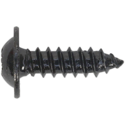 100 PACK 4.8 x 16mm Self Tapping Black Screw - Flanged Pozi Head - Fixings Screw Loops