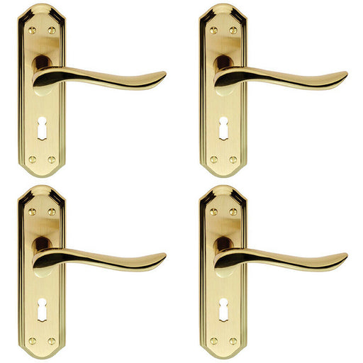 4x PAIR Curved Lever on Sculpted Edge Backplate 180 x 48mm Satin/Polished Brass Loops
