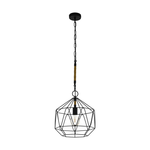 Hanging Ceiling Pendant Light Black Cage & Rope Chain 1x 40W E27 Feature Lamp Loops