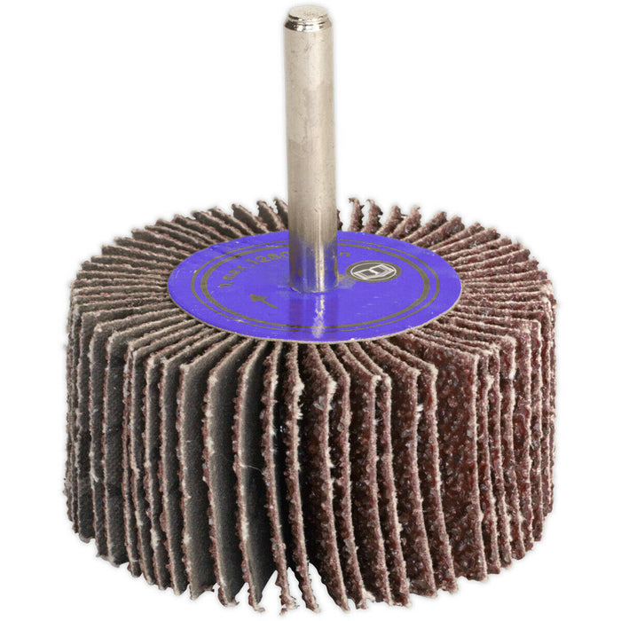 25 x 20mm Aluminium Oxide Flap Wheel - 6mm Shaft - 80 Grit - Abrasive Sanding Loops