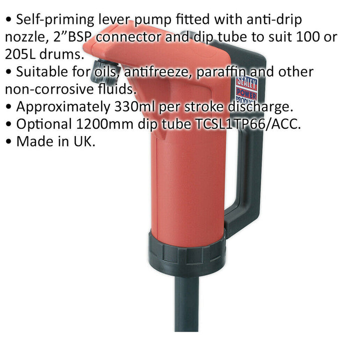 Heavy Duty Self Priming Lever Action Pump - 2" BSP Connector - 330ml Per Stroke Loops