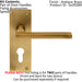 2x PAIR Straight Bar Lever on Slim Euro Lock Backplate 150 x 50mm Antique Brass Loops