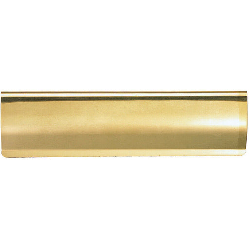 Interior Letterbox Plate Tidy Cover Flap 300 x 95mm Polished Brass Loops