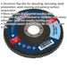 100mm Zirconium Flap Disc - 16mm Bore - Depressed Centre Disc - 120 Grit Loops