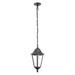 IP44 Outdoor Pendant Light Black & Silver Patina 1 x 60W E27 Bulb Porch Lamp Loops