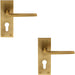 2x PAIR Flat Straight Lever on Slim Euro Lock Backplate 150 x 50mm Antique Brass Loops