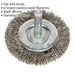 50mm Flat Wire Brush - Stainless Steel Filaments - 6mm Shaft - Up to 4500 rpm Loops