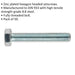 50 PACK HT Setscrew - M5 x 30mm - Grade 8.8 Zinc - Fully Threaded - DIN 933 Loops