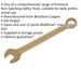 17mm Non-Sparking Combination Spanner - Open-End & 12-Point WallDrive Ring Loops