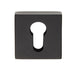 Square Euro Profile Open Escutcheon Concealed Fix 52 x 52mm Black Finish Loops