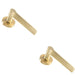 2x PAIR Straight Rounded Handle on Round Rose Concealed Fix Satin Brass Loops