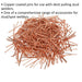 500 PACK - 2mm x 50mm Stud Welding Nails - Car Dent Copper Pulling Spot Pins Loops