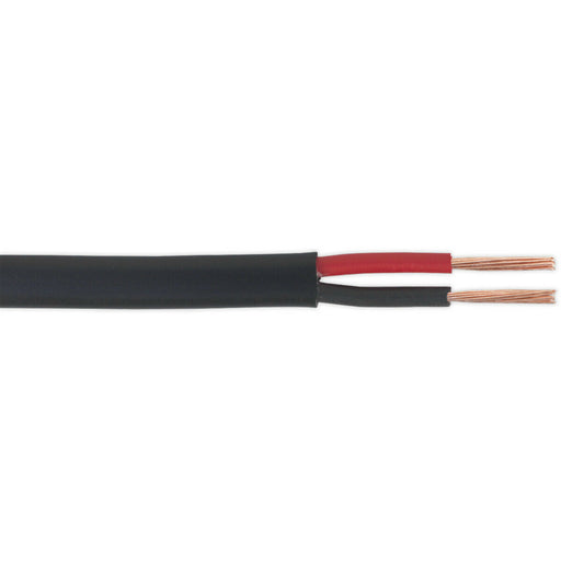 30M Flat Twin Automotive Cable - 8.75 Amps - Thick Walled - Twin Core Conductor Loops
