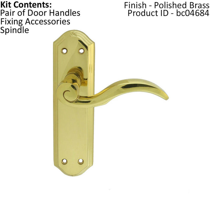 PAIR Spiral Sculpted Handle on Latch Backplate 180 x 48mm Polished Brass Loops