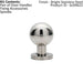 PAIR Ball Mortice Door Knob 55mm Diameter Bright Stainless Steel Rose Loops