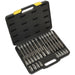 30pc Hex Key Socket Bit Set - 1/2" Square Drive - 5mm to 14mm - 200mm Long Shaft Loops