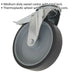 75mm Thermoplastic Castor Wheel - Bolt Hole Swivel - 25mm Tread - Total Lock Loops