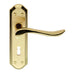 PAIR Curved Lever on Sculpted Edge Backplate 180 x 48mm Satin/Polished Brass Loops