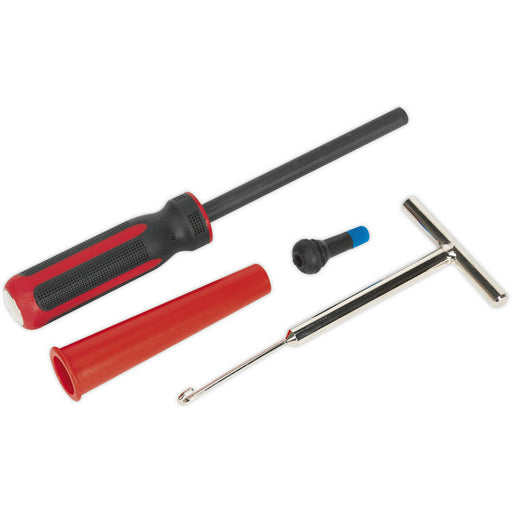 Tyre Valve Removal & Installation Tool Set - Cone Push/Pull Driver - Valve Hook Loops