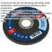 125mm Zirconium Flap Disc - 22mm Bore - Depressed Centre Disc - 120 Grit Loops