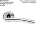 PAIR Round Bar Handle with Arch Concealed Fix Round Rose Polished Chrome Loops