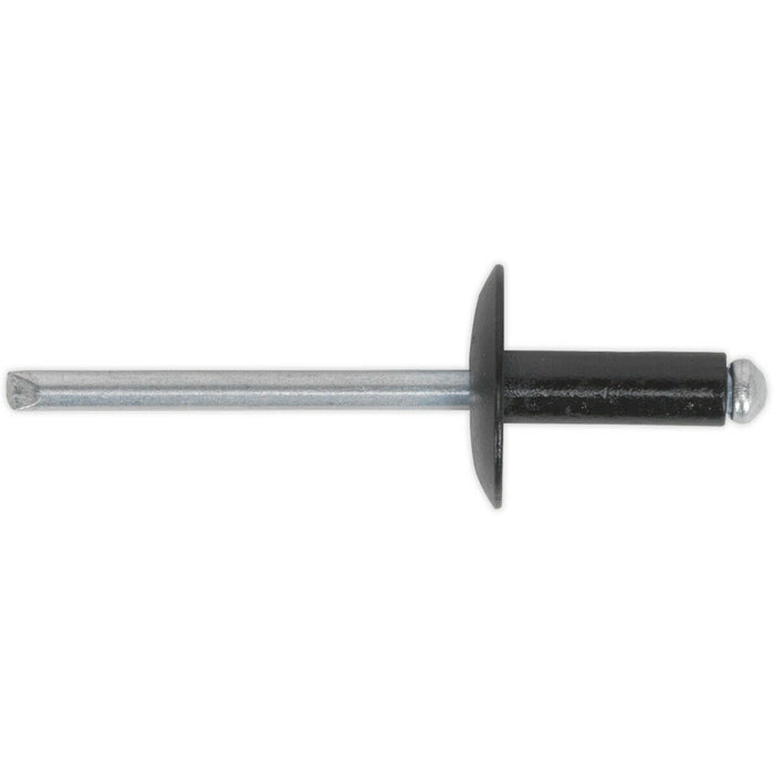 200 PACK - 4mm x 10mm Large Flange Rivets - Black Aluminium Compression Pins Loops